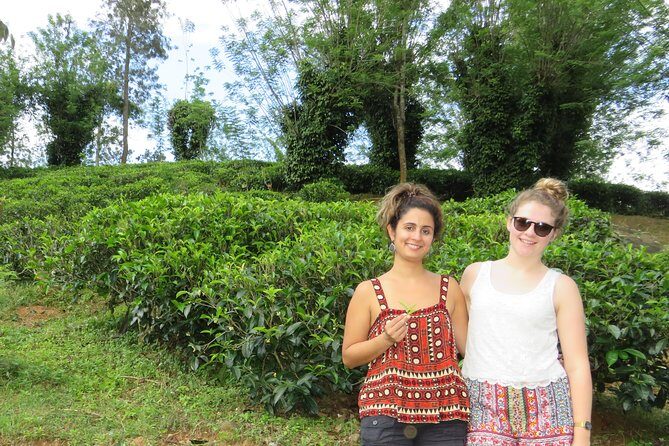 Kandy to Nuwara Eliya Day Trip – Little England & Tea Country - Transportation Comfort: Conditioned Car, Private Stops, and Real Driving Skills