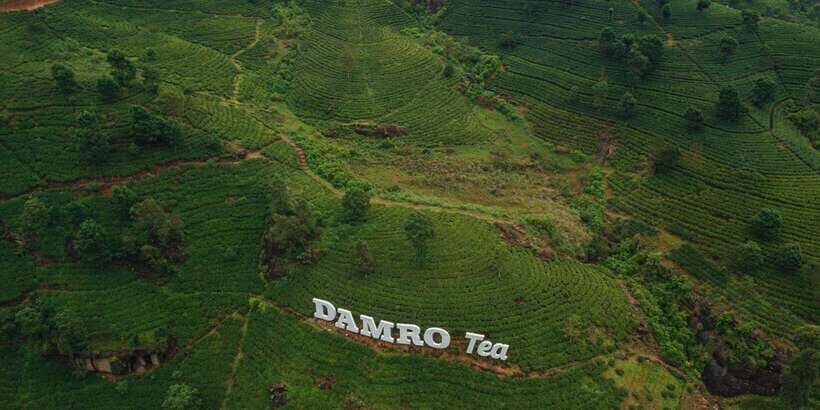 Kandy To Nuwara Eliya Drop Tour - Sri Lanka - The tea factory stop: the part most people remember