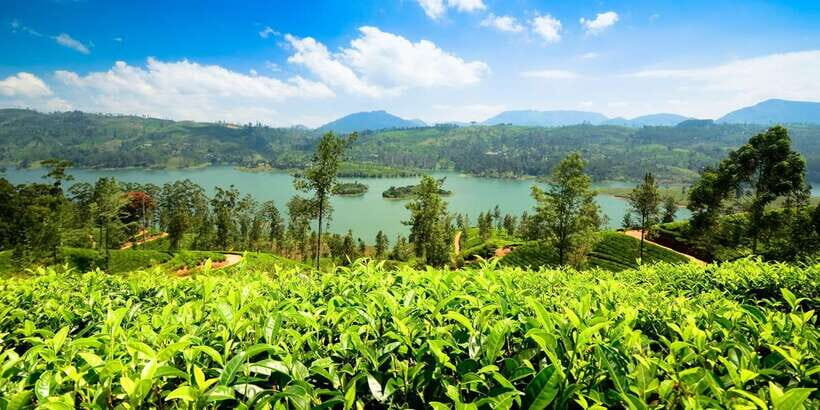 Kandy To Nuwara Eliya Drop Tour - Sri Lanka - Kandy pickup and the Asgiriya Stupa opening move