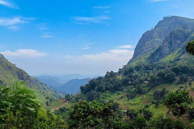 Kandy to Nuwara Eliya Private Day Tour - Why Kandy to Nuwara Eliya Feels Easier with a Private Driver