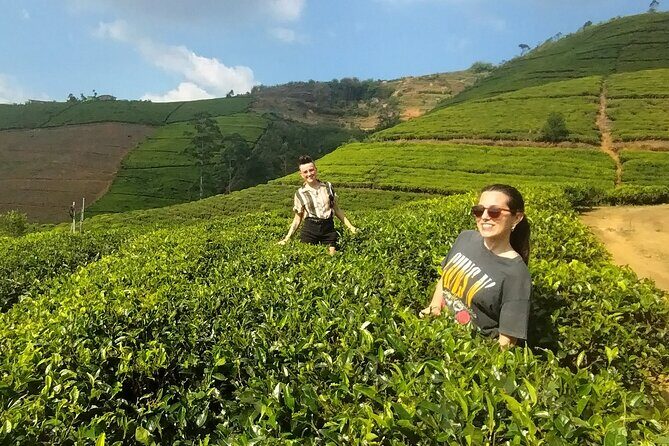 Kandy to Nuwara Eliya Private Day Tour: Tea Factory& Gregory Lake - Key highlights at a glance