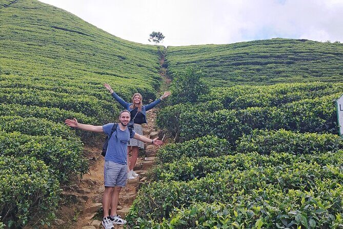 Kandy to Nuwara Eliya Private Day Tour: Tea Factory& Gregory Lake - Gregory Lake walk: calm time and optional fun
