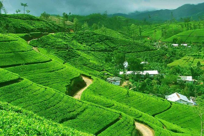 Kandy to Nuwara Eliya Private Day Tour - Seetha Amman Temple (Sita Temple) in Seetha Eliya