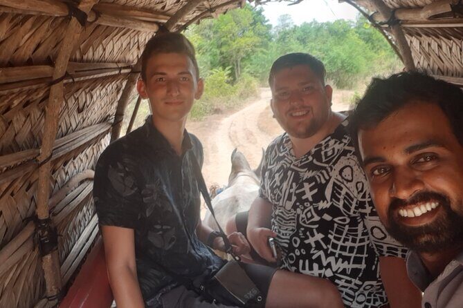 Kandy to Sigiriya and Dambulla Private Day Tour - Price and Logistics: What You Pay Versus What You’ll Still Need