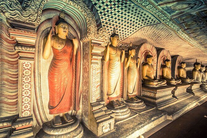 Kandy to Sigiriya and Dambulla Safari Day Tour - Who should book this day tour, and who should choose differently