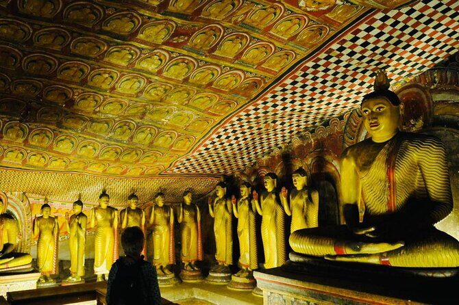 Kandy to Sigiriya Day Trip - Dambulla and the rest: temples, cinnamon, village, and wildlife
