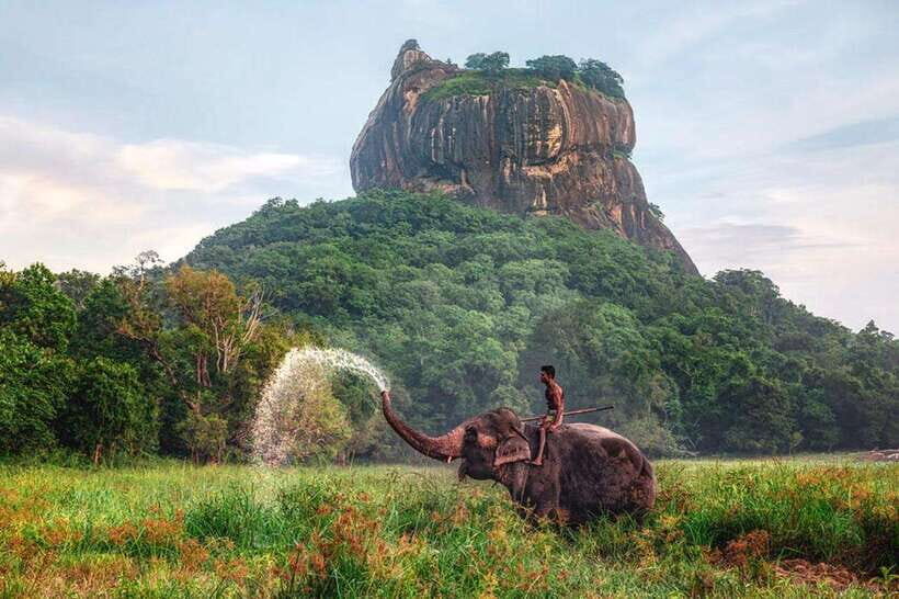 Kandy to Sigiriya Private Tour by Tuk Tuk with All Fees - Herbal cinnamon and spice garden: smell first, learn after