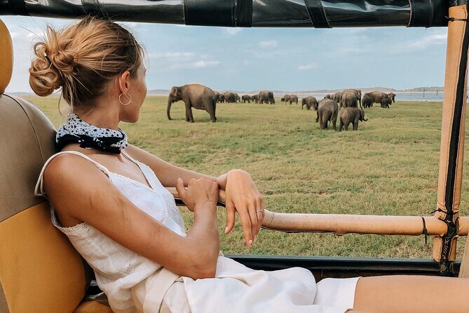 Kandy to Trincomalee Shuttle & Safari Drive - Open 4×4 Safari Jeep: What You Actually Get on the Safari Drive