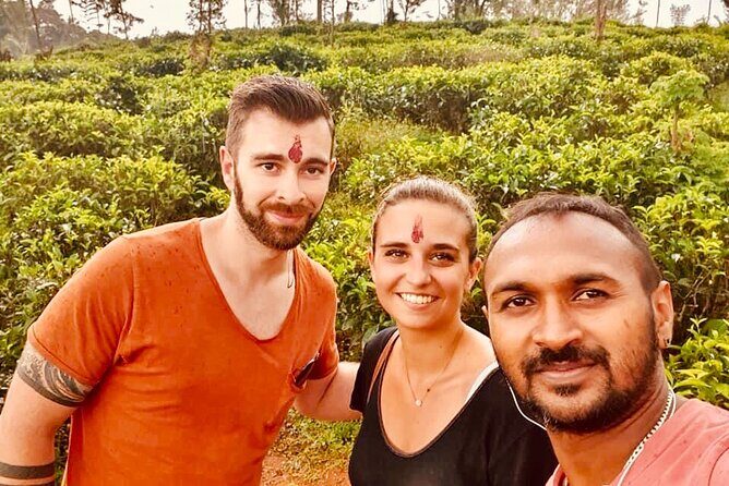 Kandy TukTuk tour with Local Tour Guide - Royal Botanical Gardens in Peradeniya: a calm start in an older setting