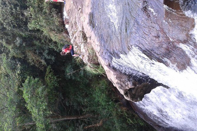 kandy waterfalls day tour - Price and Value: Why $61.61 Can Feel Like a Deal