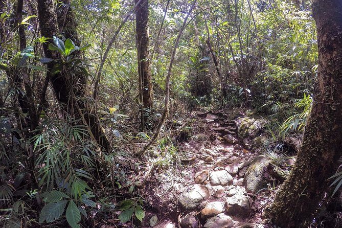 Knuckles Leopard trail Trek from Kandy - What’s included at $108 per person (and why it feels fair)