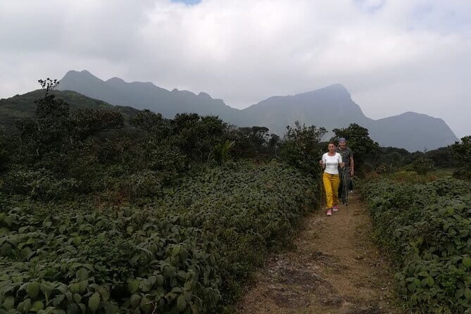 Knuckles Mountain Range Hiking and Trekking Day Tour From Kandy Hotels - Knuckles Mountain Range: The Mist-Laden Name You’ll Feel
