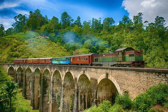 Knuckles Mountain Range Hiking and Trekking Day Tour From Kandy Hotels - Naturalist Guide and Forest Entry: Why It Changes the Hike