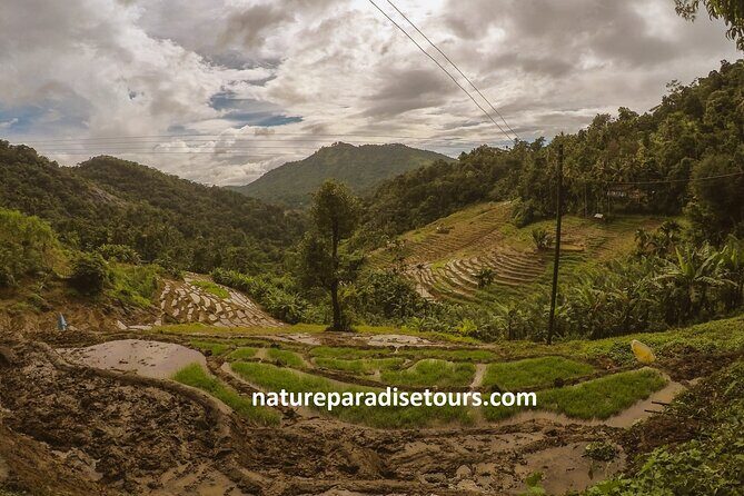Knuckles Spice Trail Trek from Kandy - Key things that make this trek worth your day