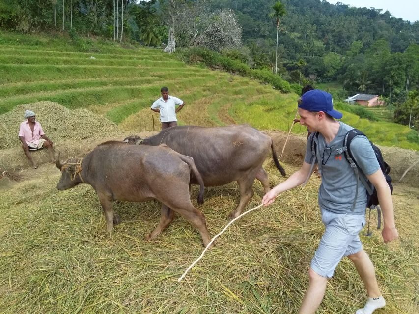 Knuckles Spice Trail Trek from Kandy - Price and value: why $101 can make sense here