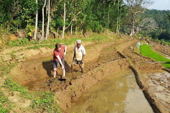 Knuckles Spice Trail Trek from Kandy - Rain, leeches, and mud: what to plan for on the trail