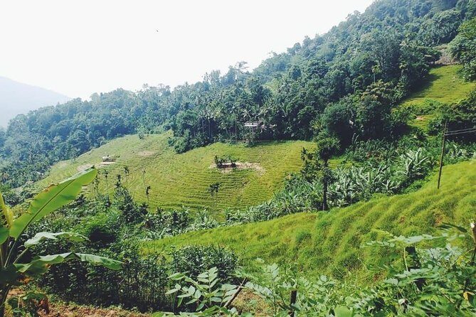 Knuckles Spice Trail Trek from Kandy - The waterfall crossing and natural pool swim (the moment you’ll remember)