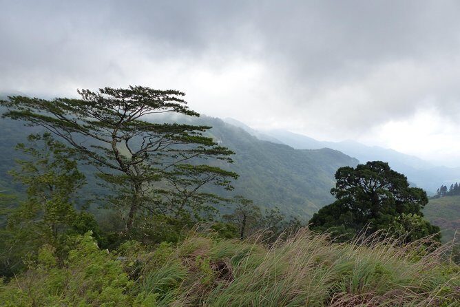 Knuckles Spice Trail Trek from Kandy - Terrace rice fields and village life: where the pace slows down