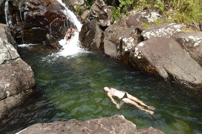 Knuckles Spice Trail Trek from Kandy - Tea plantation trails and spice forest walking: the heart of the day