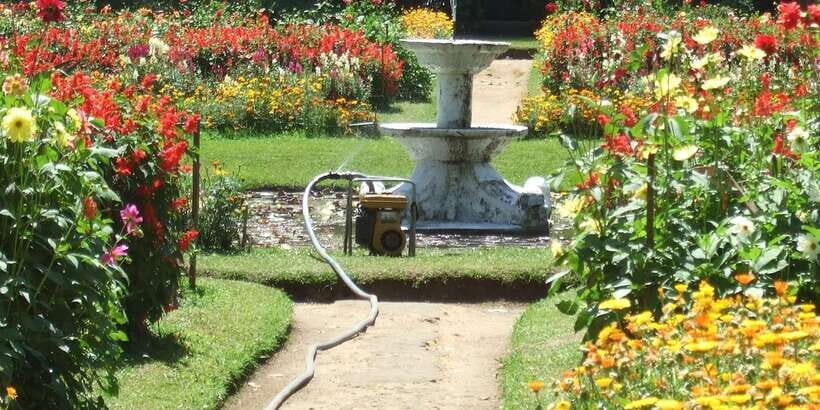 Nuwara Eliya: All-Inclusive Private Sightseeing Day Tour - Private Chauffeur Day Tour: How the 12 Hours Work