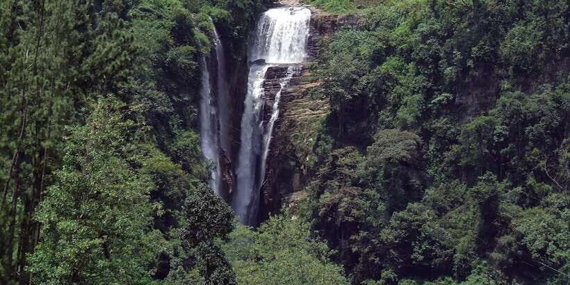 Nuwara Eliya: All-Inclusive Private Sightseeing Day Tour - Pedro Tea Factory: Tea-Making From Plucking to Packaging