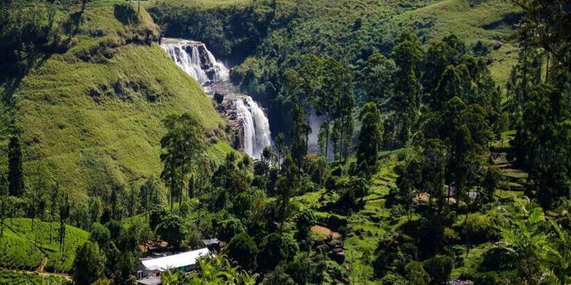 Nuwara Eliya: All-Inclusive Private Sightseeing Day Tour - Gregory Lake: Stroll Time, Optional Boat Ride, Great Views
