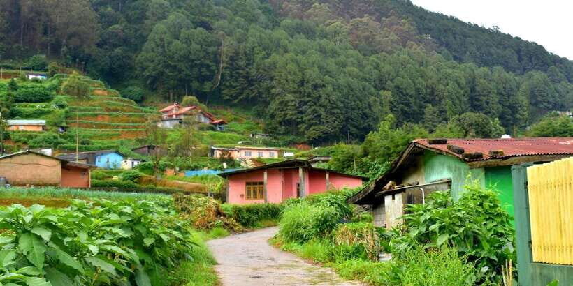 Nuwara Eliya: All-Inclusive Private Sightseeing Day Tour - Packing Tips and Temple Dress Rules You’ll Actually Use