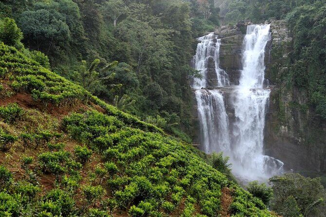 Nuwara Eliya from Kandy by Train - Key things to know before you go