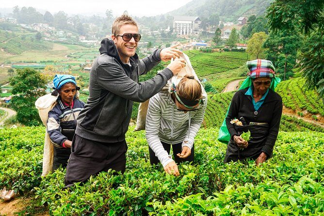 Nuwara Eliya Highlands from Kandy - Key takeaways before you go