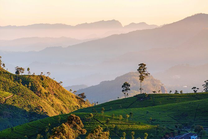 Nuwara Eliya Highlands from Kandy - Leaving Kandy for Sri Lanka’s cool, tea-clad highlands