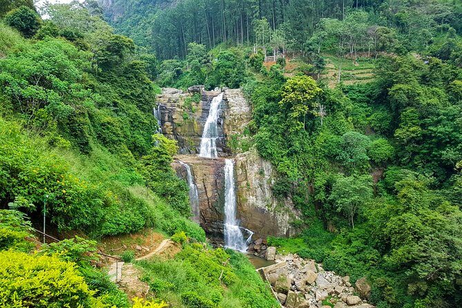Nuwara Eliya Highlands from Kandy - Victoria Park in Nuwara Eliya: Little England stroll time