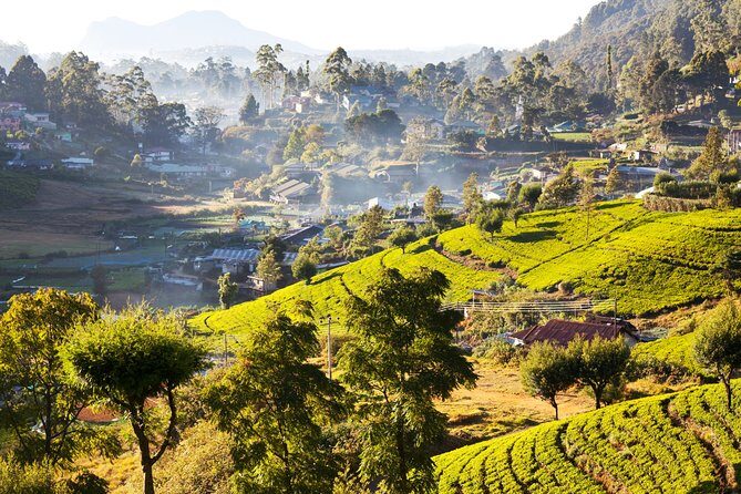 Nuwara Eliya Highlands from Kandy - Timing, comfort, and what to budget along the way