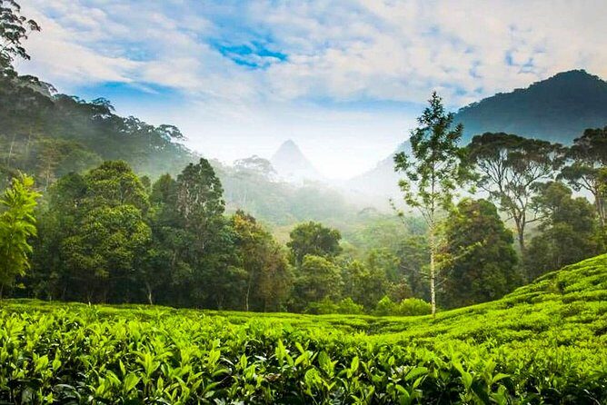 Nuwara Eliya Highlands from Kandy - Ramboda Falls: the big, vertical moment