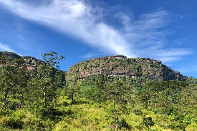 Pekoe Trail Stage 1- Scenic Trek from Hanthana to Galaha - Tea Plantations, Dense Forest, and Villages: What You’ll Actually Walk Through