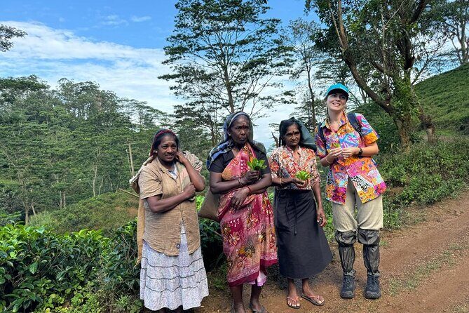 Pekoe Trail Stage 1- Scenic Trek from Hanthana to Galaha - Views That Keep Shifting: How to Get More Out of Every Turn