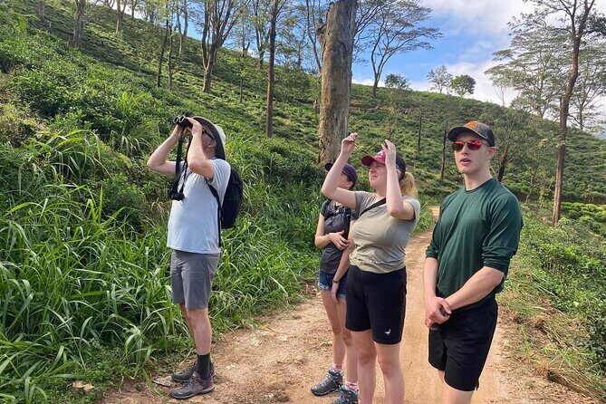 Pekoe Trail Stage 1- Scenic Trek from Hanthana to Galaha - Hanthana Mountain Range Stop: Where the Trek Starts Paying Off