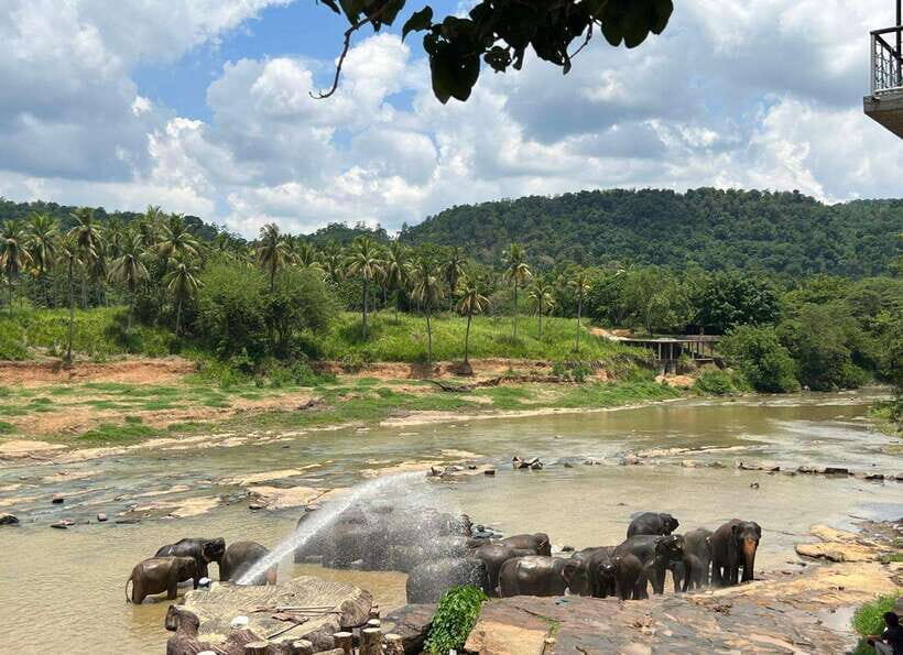 Pinnawala Day Tour from Kandy (Private tour ) - Key things to know before you go