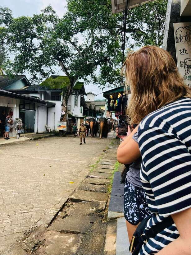 Pinnawala Day Tour from Kandy (Private tour ) - Spice garden in Mawanella: smell, plants, and Ayurveda context