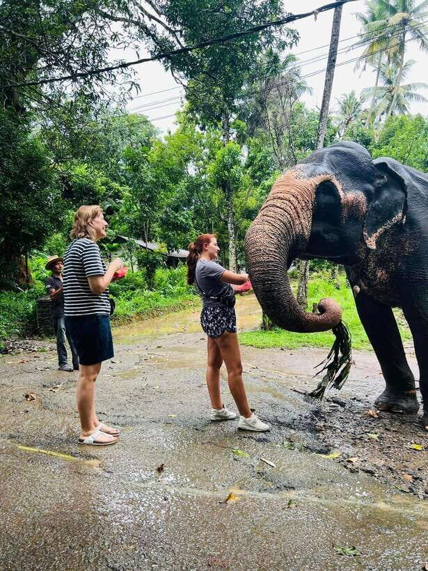 Pinnawala Day Tour from Kandy (Private tour ) - Gem museum: a quick lesson in Sri Lanka’s mining story