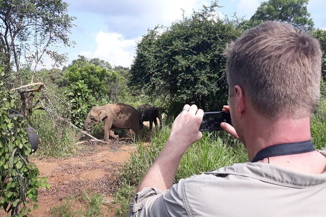Polonnaruwa Day Tour with Lunch by Mahaweli - Optional Minneriya National Park: elephants only if you want them