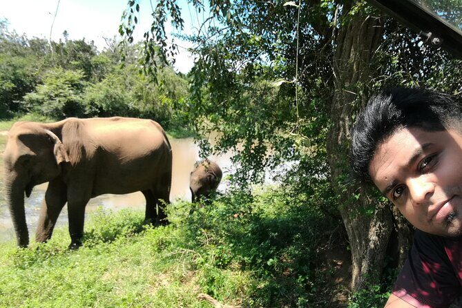 Private Dambulla Sigiriya Tour from Kandy with friendly chauffeur - What makes the guide experience matter