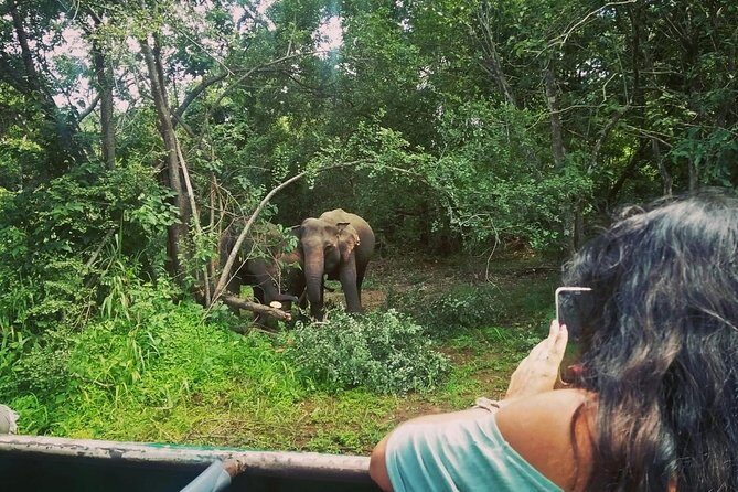 Private Dambulla Sigiriya Tour from Kandy with Lunch - A Smart One-Day Circuit from Kandy to Sigiriya and Dambulla