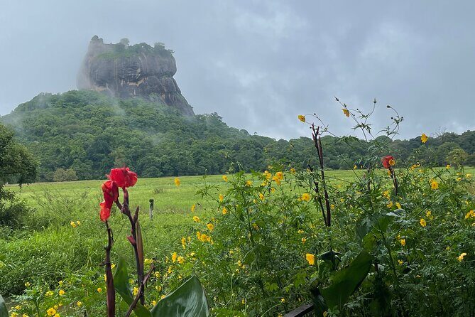 Private Full Day Tour Sigiriya and Dambulla From Kandy - Price and Value: $80 Per Group Plus Ticket Fees