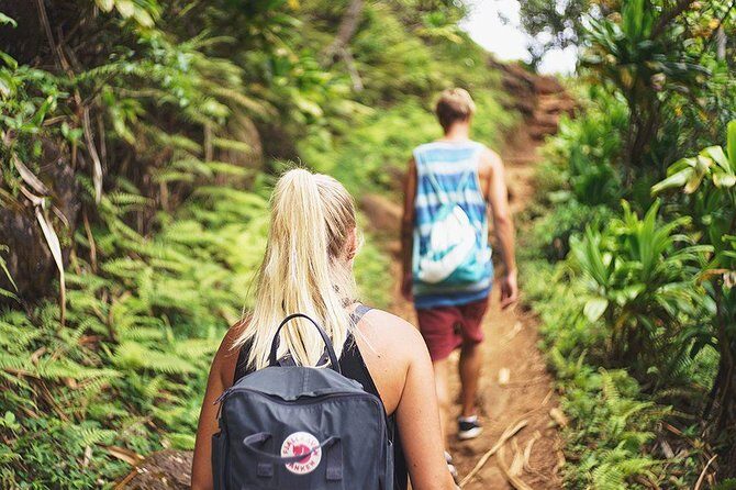 Private Full Day Tour to Nuwara Eliya from Kandy - A Private High-Country Day From Kandy to Nuwara Eliya