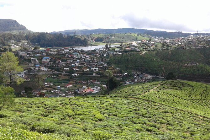 Private Full Day Tour to Nuwara Eliya from Kandy - Price, Time, and What You Need to Budget For