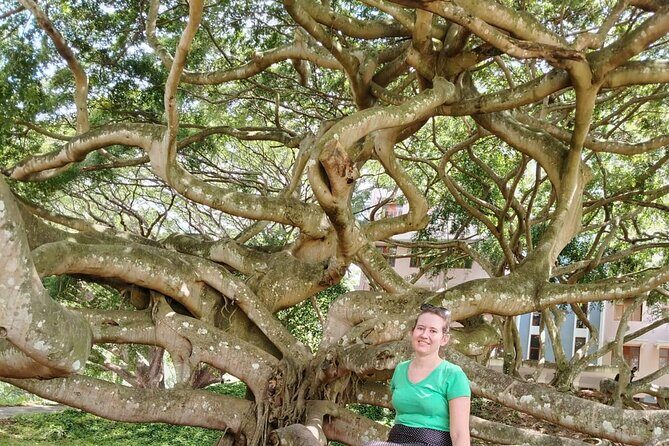 Private Kandy City Tour: Temple of the Tooth & Lake Highlights - Stop 5: Bahirawakanda Temple and the giant Buddha statue views
