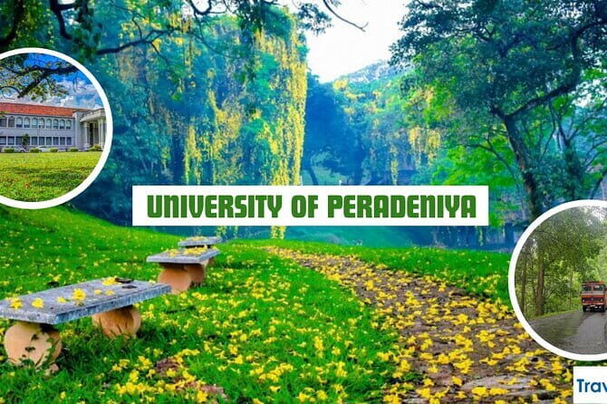 Private Tuk Tuk Tour of Kandy City & Surroundings - Peradeniya Royal Botanical Gardens: 2 hours of walking you’ll actually want