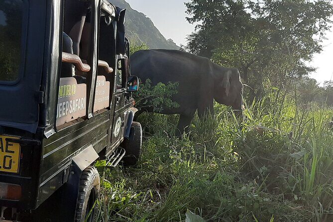 Sigiriya, Dambulla and Minneriya National Park Private Tour In - Key Points to Know Before You Go