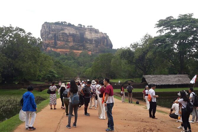 Sigiriya, Dambulla and Minneriya National Park Private Tour In - Private Transportation and a Licensed Guide: Where the Value Shows