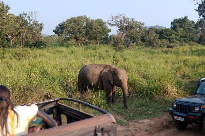 Sigiriya Dambulla Wonders Day Trip from Kandy - Guides and languages: what to look for with John and the team